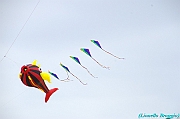 RIMINI 2012 - 004